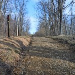 March 2011