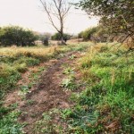 Trexler Nature Preserve