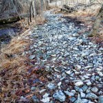 rocks